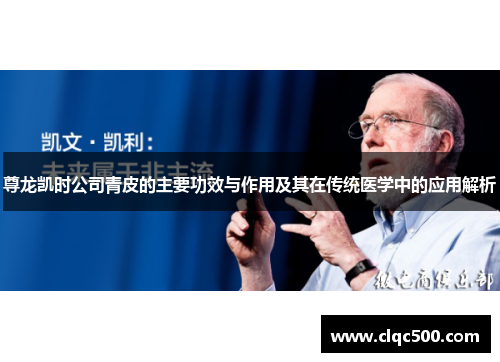 尊龙凯时公司青皮的主要功效与作用及其在传统医学中的应用解析